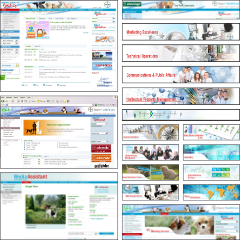 Bayer-HealthCare-Animal-Health-Online-240x240