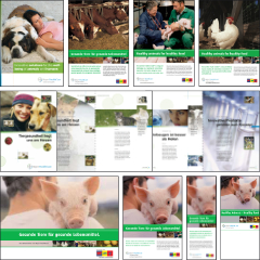 Bayer-HealthCare-Animal-Health-Print-240x240