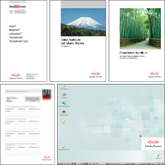 Takeda-Print-Internal